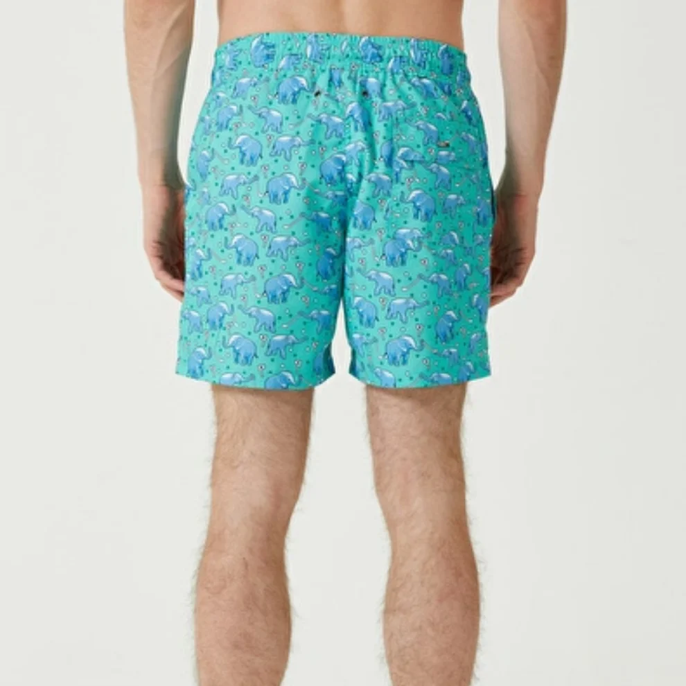 Fiji - Gaya Swim Short