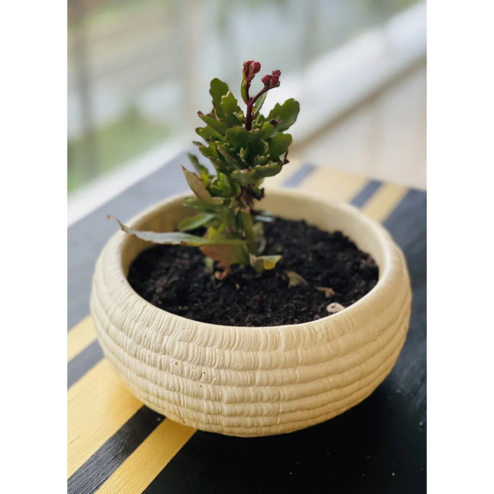 Candu Things - Daisy Basket Patterned Large Concrete Bowl