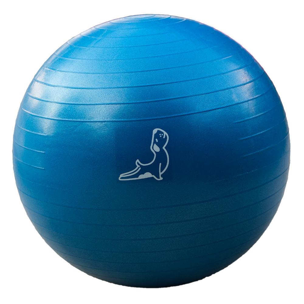 65 Cm Exercise Ball