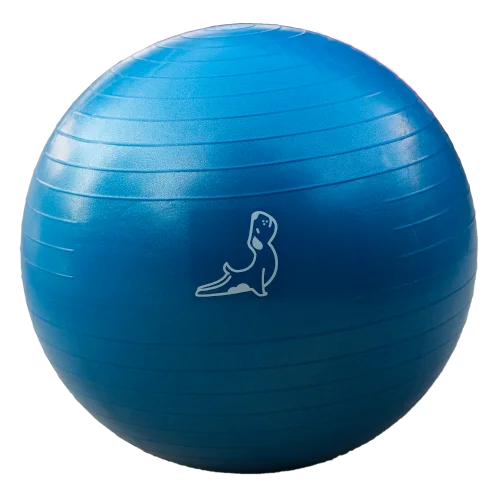 Petarya - 65 Cm Exercise Ball