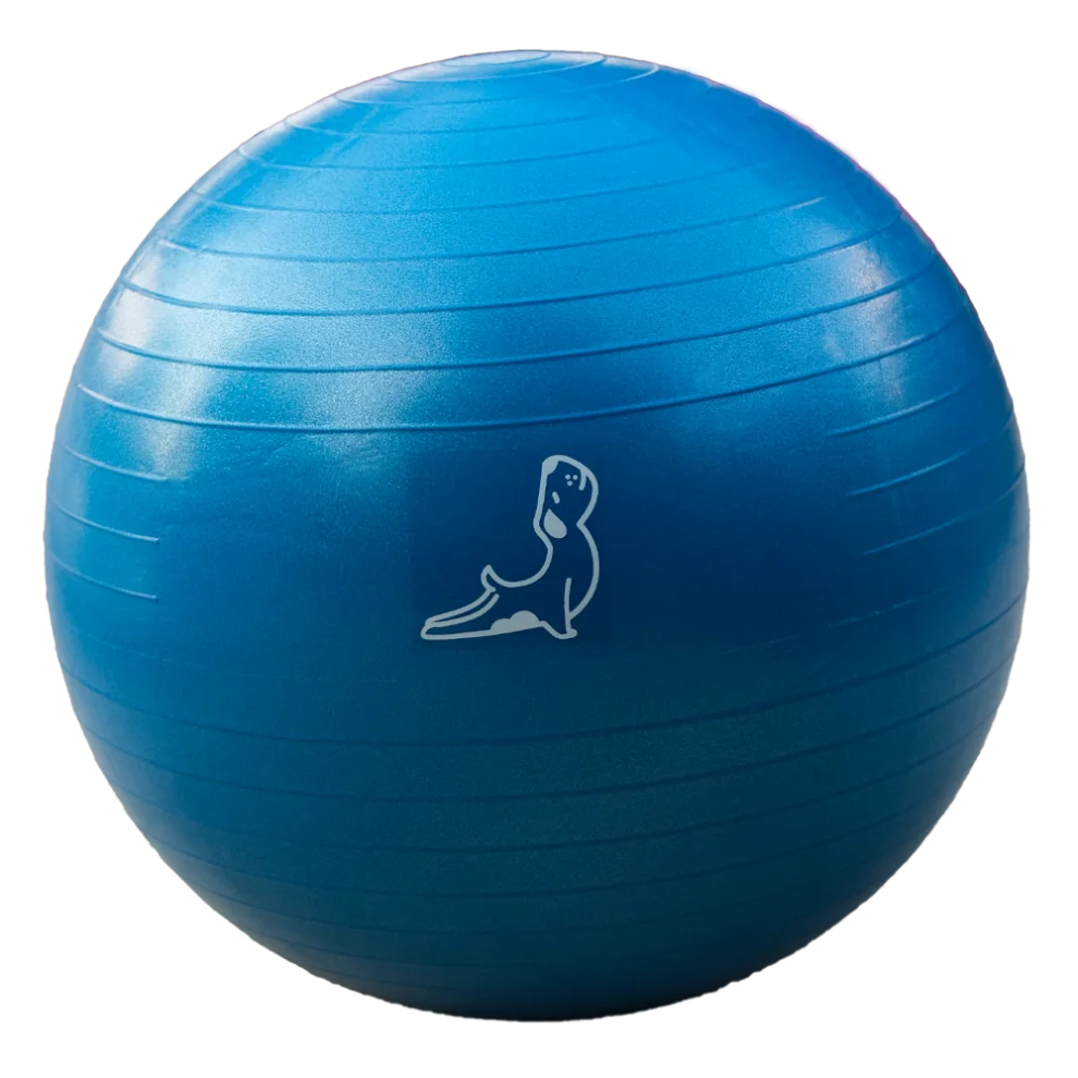 65 inch yoga online ball