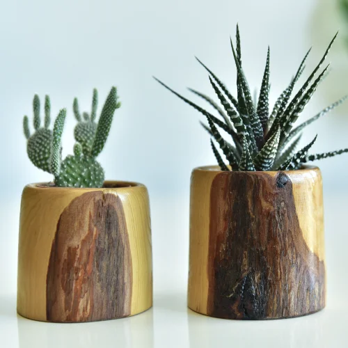 Kabuk Woodworks - Lycia Vase Set Of 2