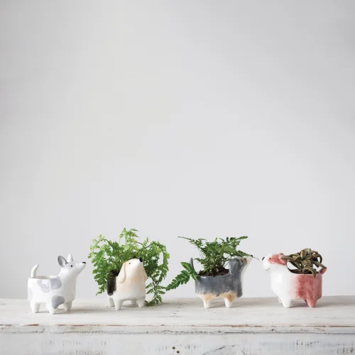 Warm Design	 - Dog Pot -ıv