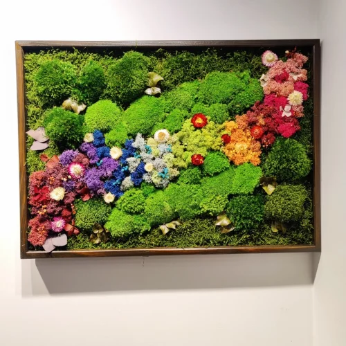 Fiplantart Works - Moss Frame Art