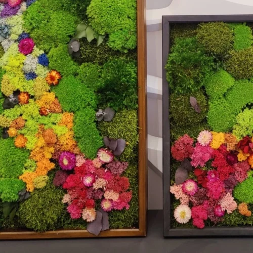 Fiplantart Works - Moss Frame Art