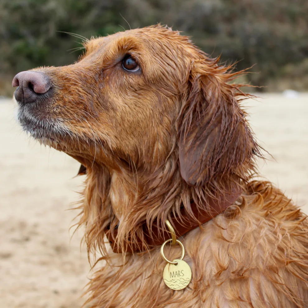 Mars and Mocha - Tan Leather Collar