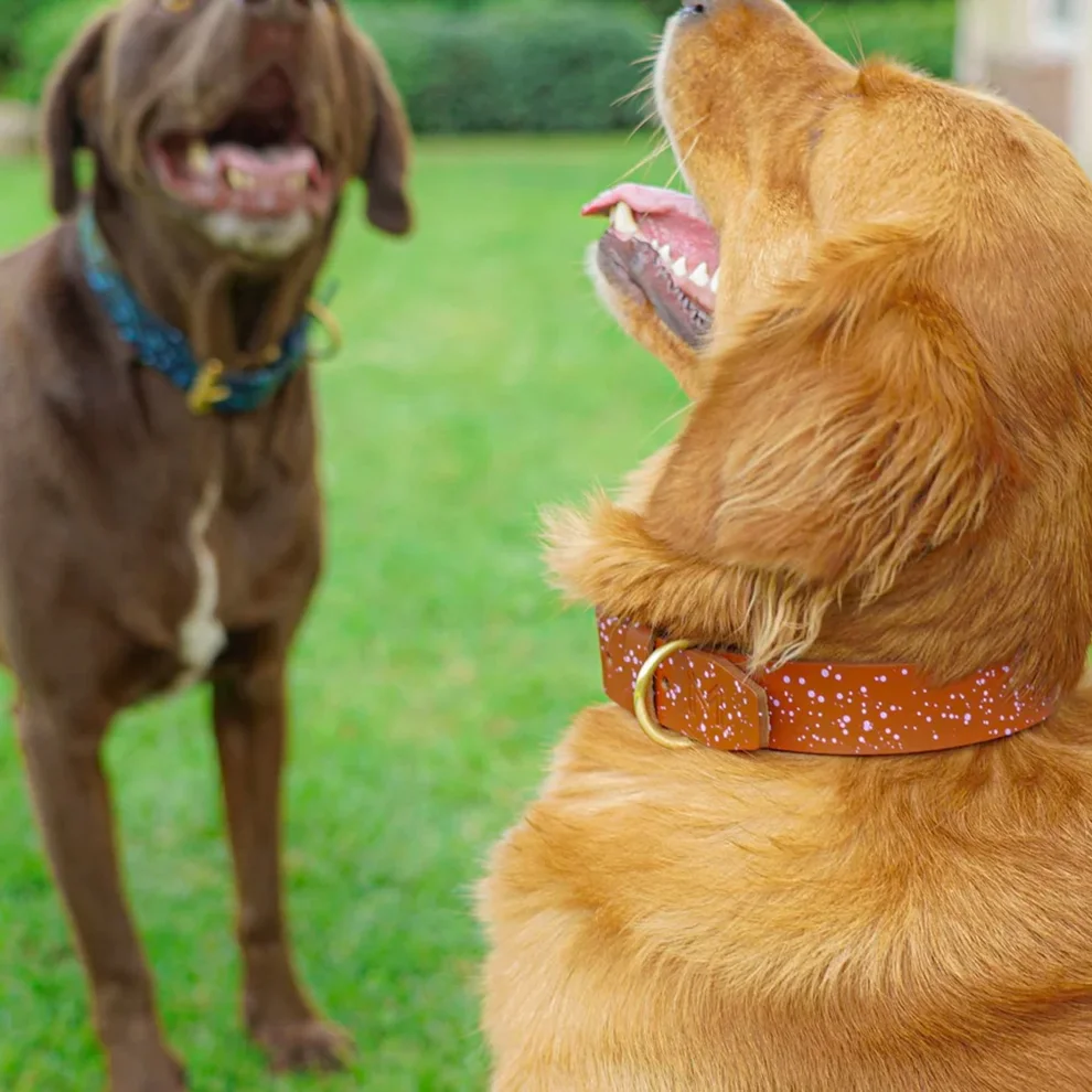 Mars and Mocha - Tan Leather Collar