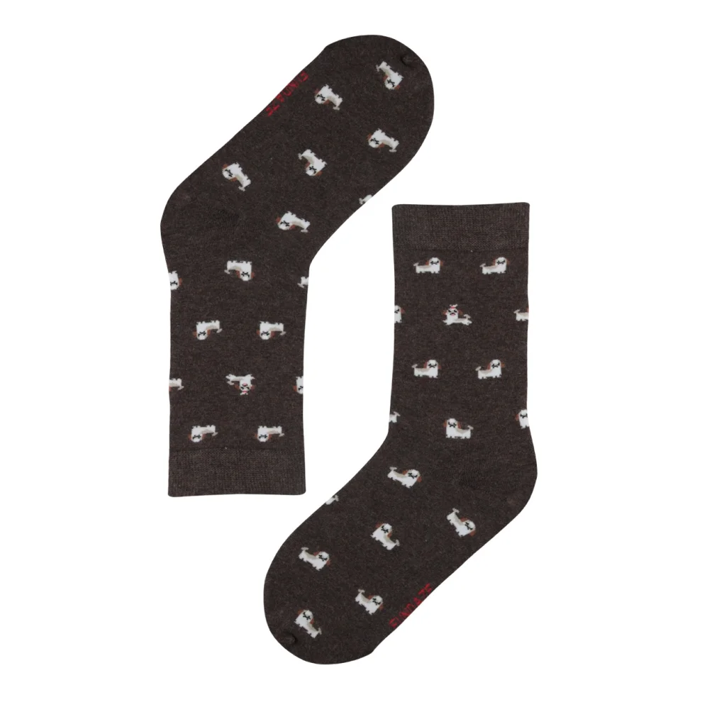 Fundaze - Shih Tsu Socks