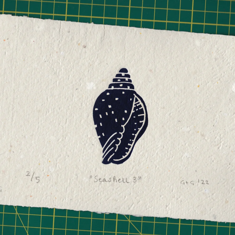 Çaçiçakaduz - Seashell 3 Lino Print