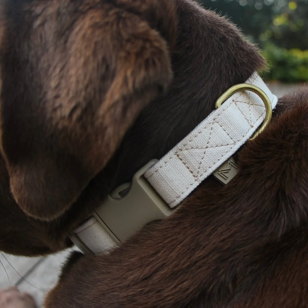 Mars and Mocha - Vegan Dog Collar