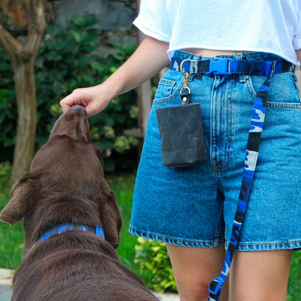 Mars and Mocha - Hands-free Dog Leash