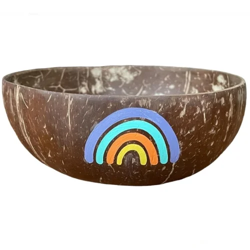 Ebru Sayer Art & Design - Hand Painted Original Coconut Bowl-vibrant Colors