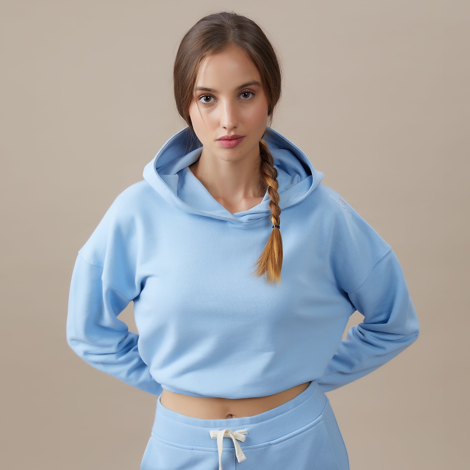 Baby blue 2025 cropped hoodie