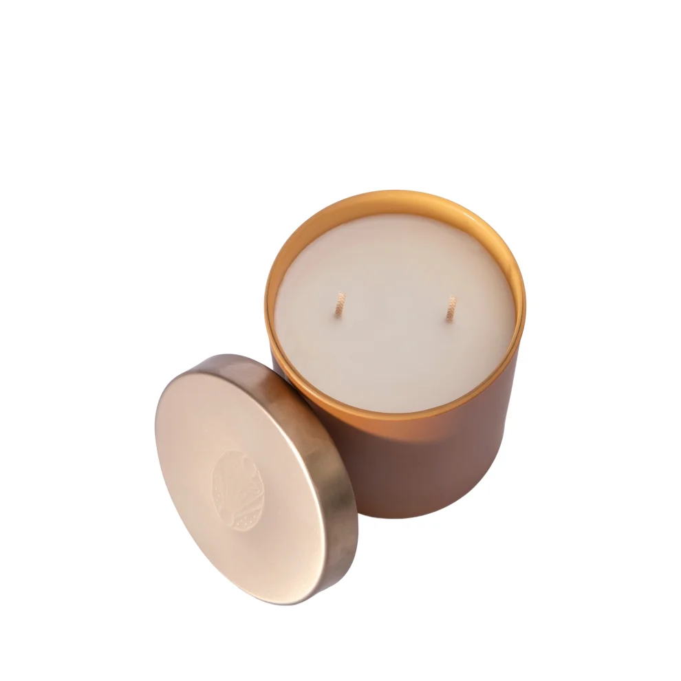 Echoes Lab - Coconut & Mango Scented Medium Size Natural Candle 300 Gr
