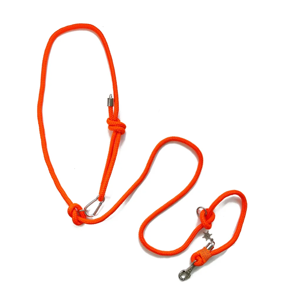 Petswuu - Orange Free Running And Walking Leash