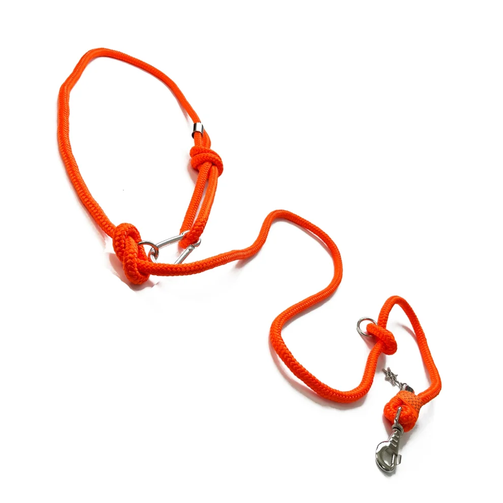 Petswuu - Orange Free Running And Walking Leash