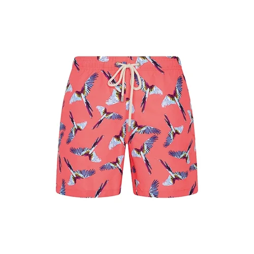 Shikoo Swimwear - Bird Patterned Lace-up Short Swimsuit