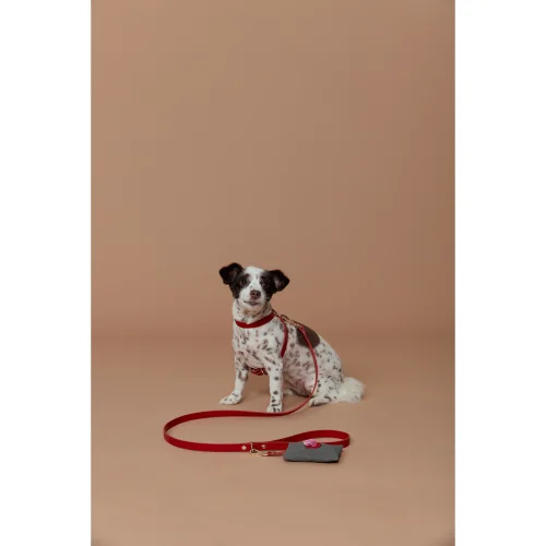 Zoe Pet Atelier - Lester Dog Leash