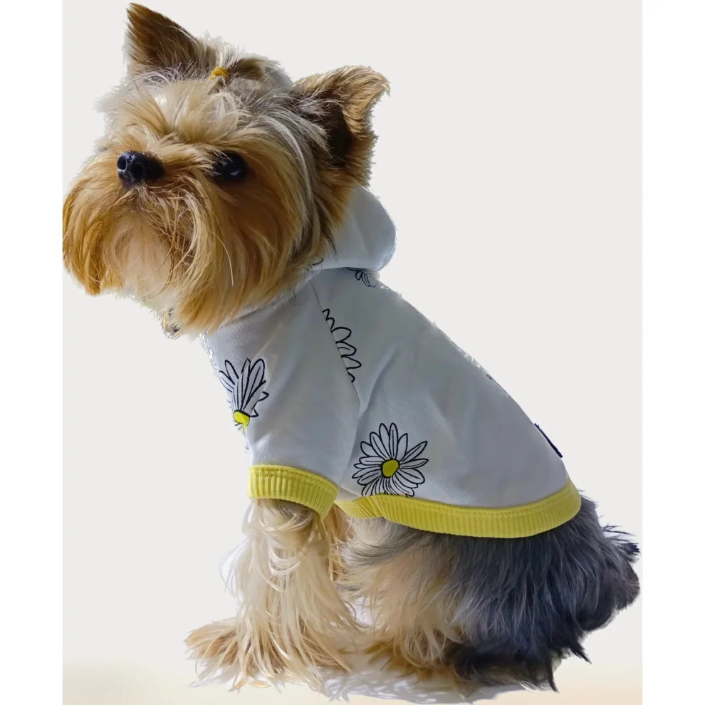 Cream Grey - Daisy Papatya Desenli Kapüşonlu Köpek Sweatshirt