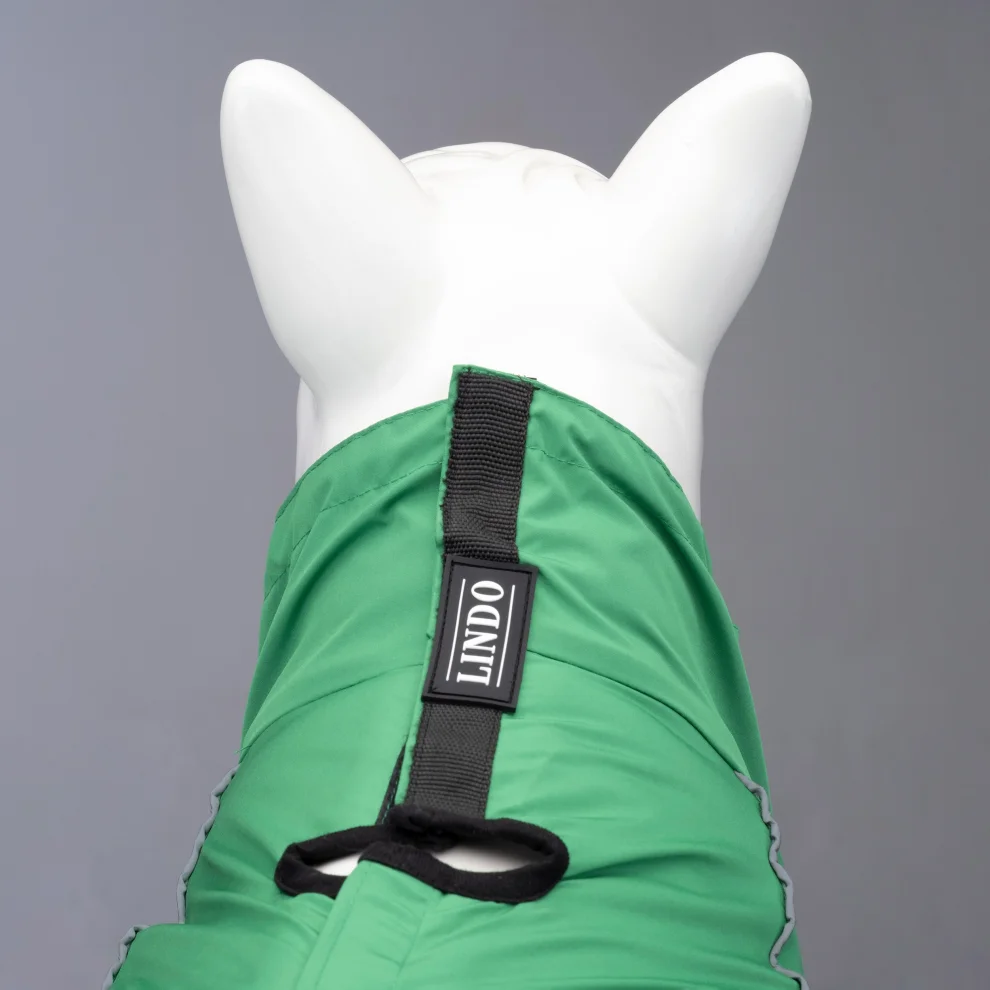 Lindodogs - Quattro Nebula Dog Raincoat