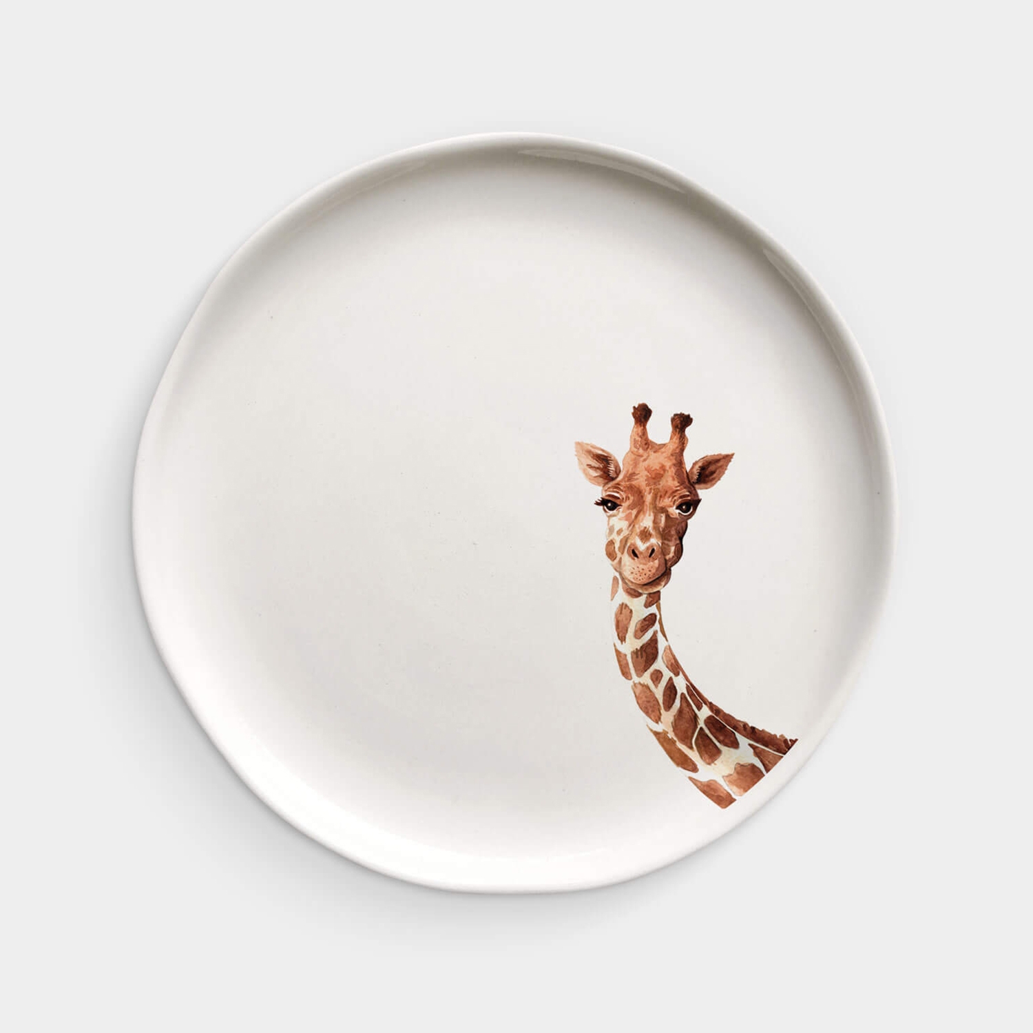 Animal Plate -ıv