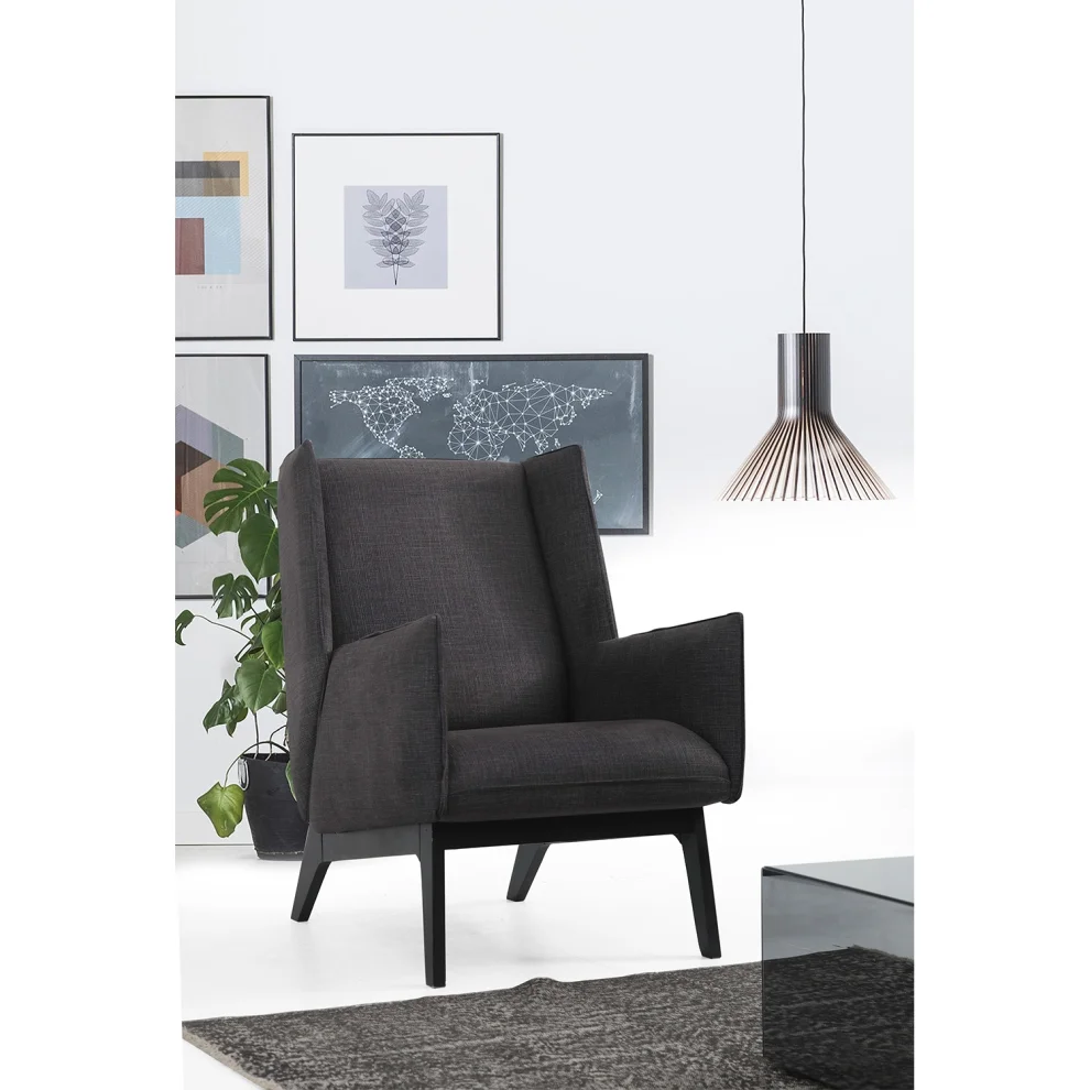 Çağlayan Koltuk - Fuba Wingchair