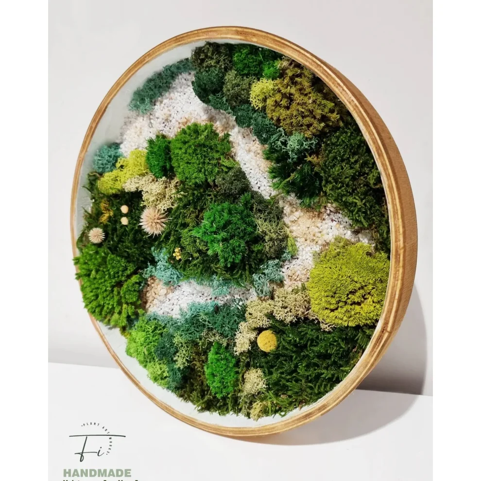 Fiplantart Works - Moss Art Farem Set To 3
