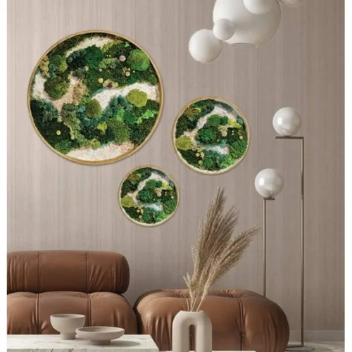 Fiplantart Works - Moss Art Farem Set To 3