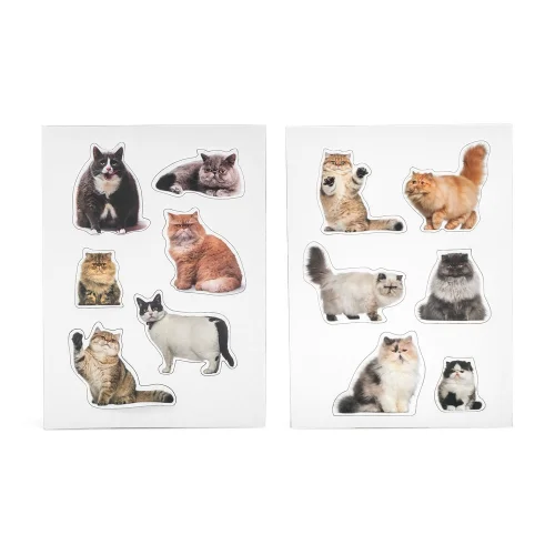 Mustard - Fat Cats Magnet