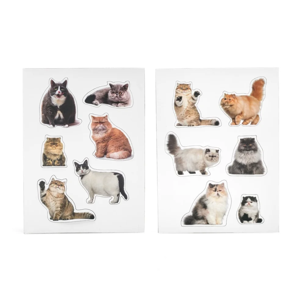 Mustard - Fat Cats Magnet