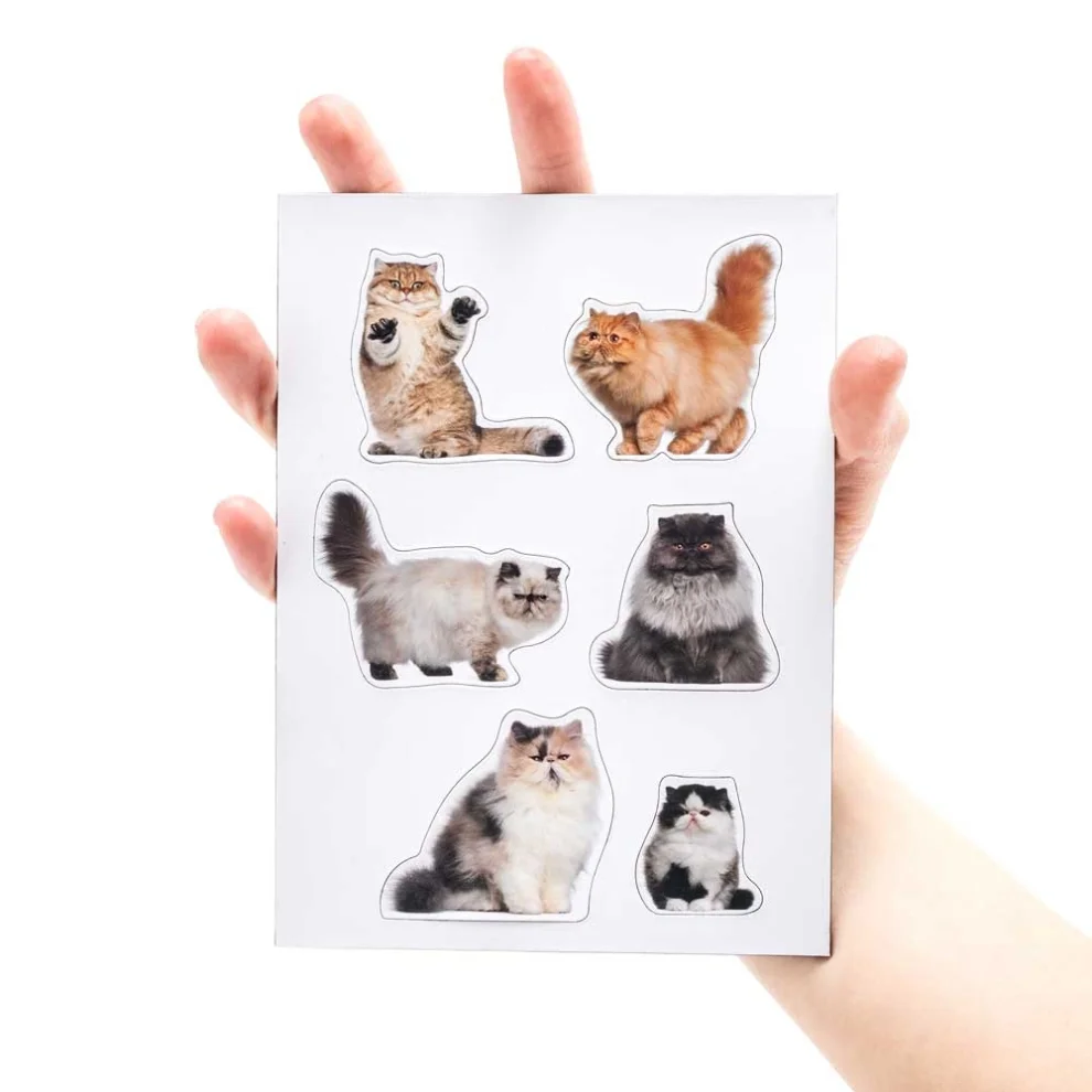 Mustard - Fat Cats Magnet