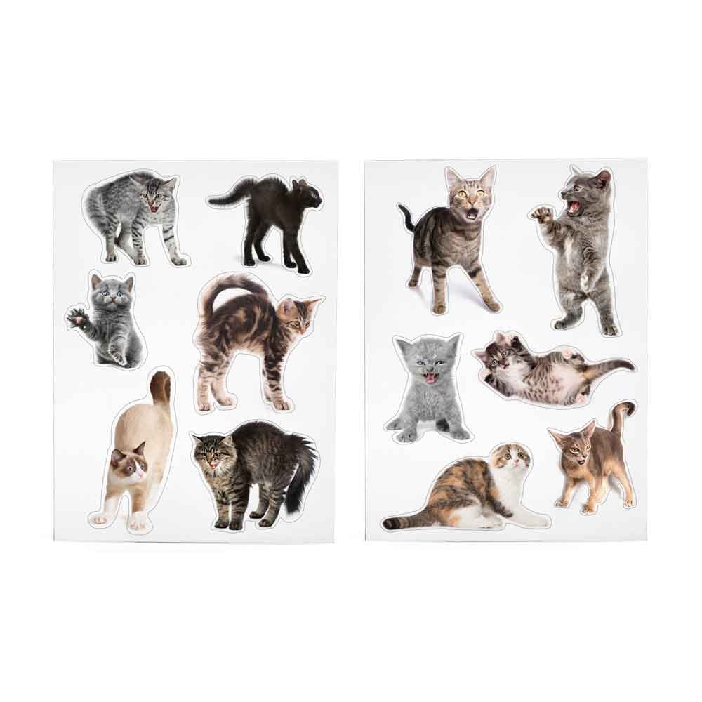 Scary Cats Magnet