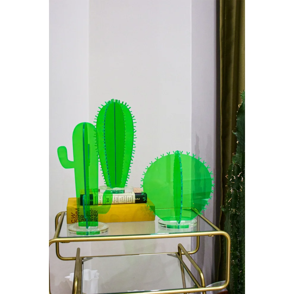 Gorgo Iruka - Acrylic Cactus #02