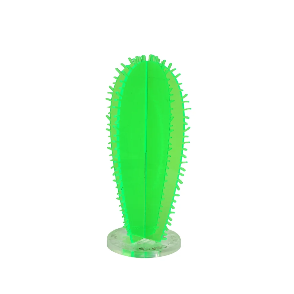 Gorgo Iruka - Acrylic Cactus #03