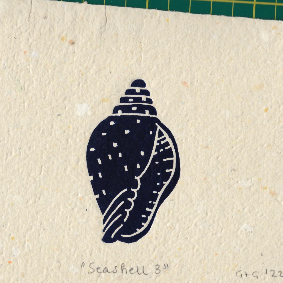 Çaçiçakaduz - Seashell 3 Linol Baskı