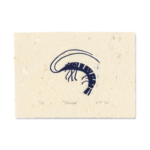 Çaçiçakaduz - Shrimp Lino Print
