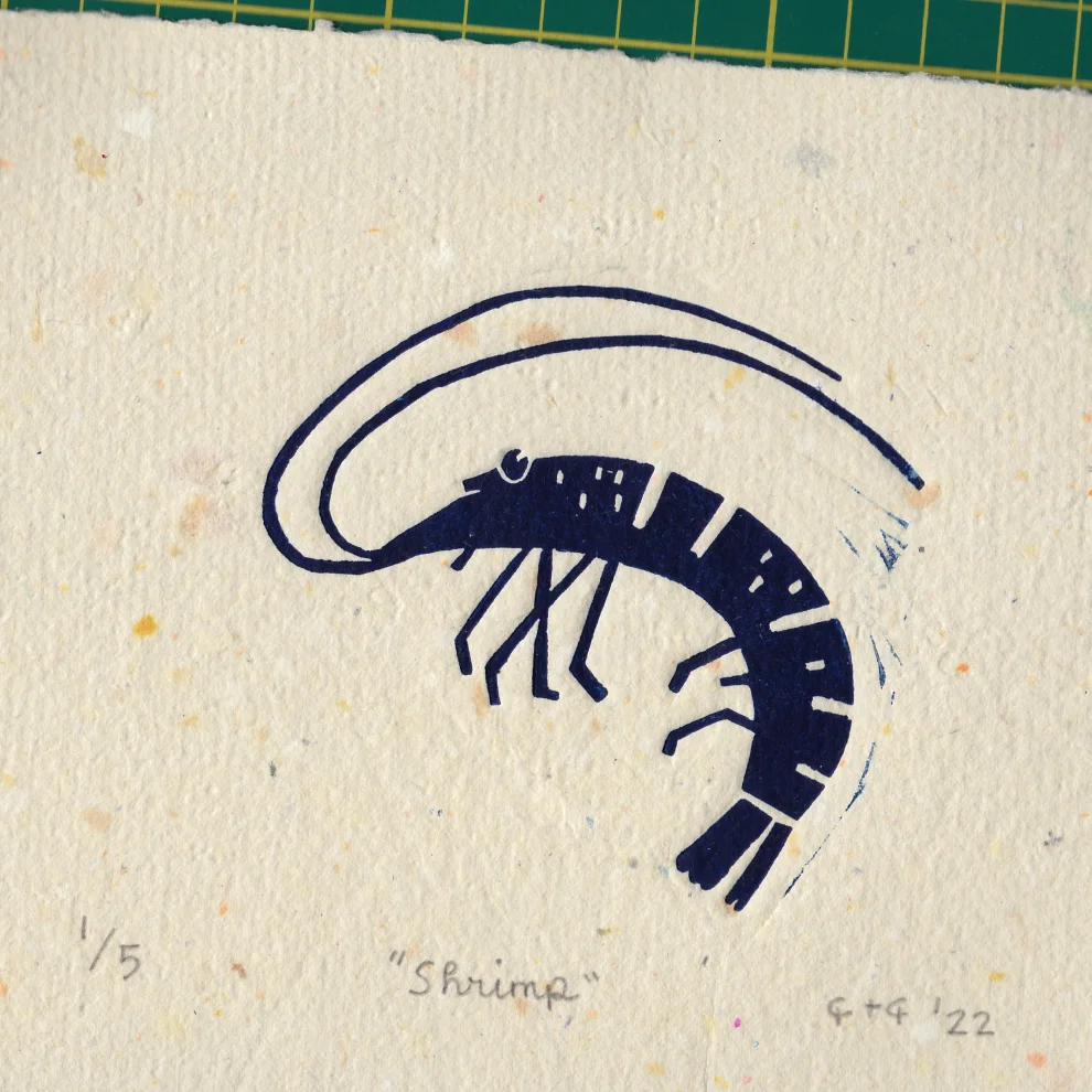 Çaçiçakaduz - Shrimp Lino Print