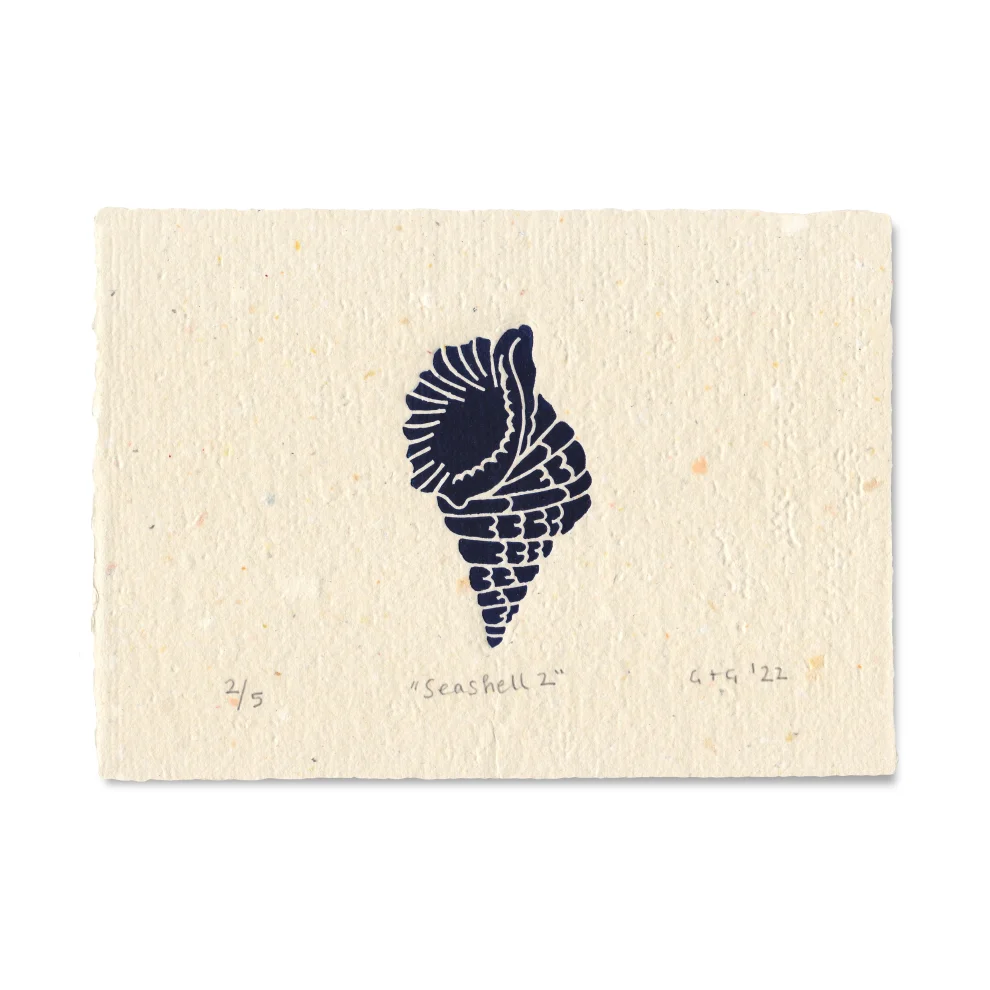 Çaçiçakaduz - Seashell 2 Limba Ahşap Framed Lino Print