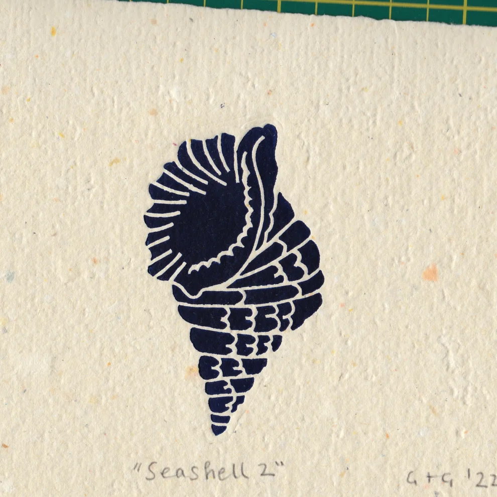 Çaçiçakaduz - Seashell 2 Limba Ahşap Framed Lino Print