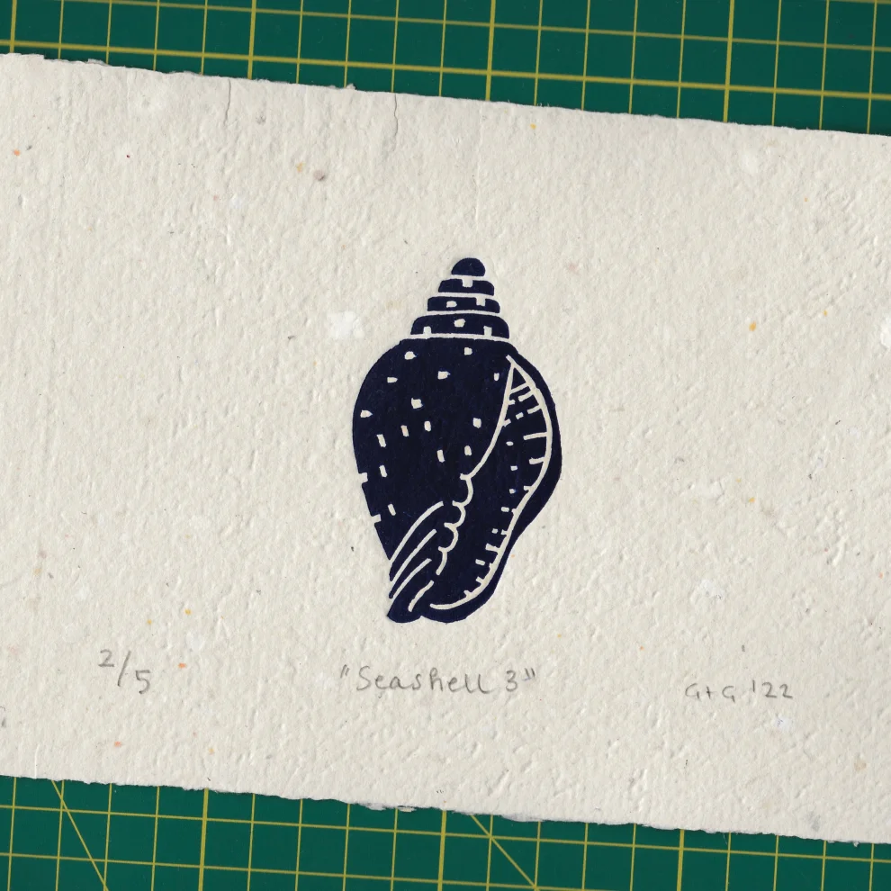 Çaçiçakaduz - Seashell 3 Limba Wood Framed Lino Print