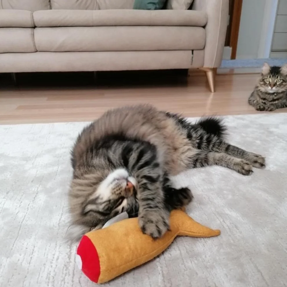 Pawdaz - Matatabi - Golden Fısh Cat Toy With Lots Of Sound And Smell