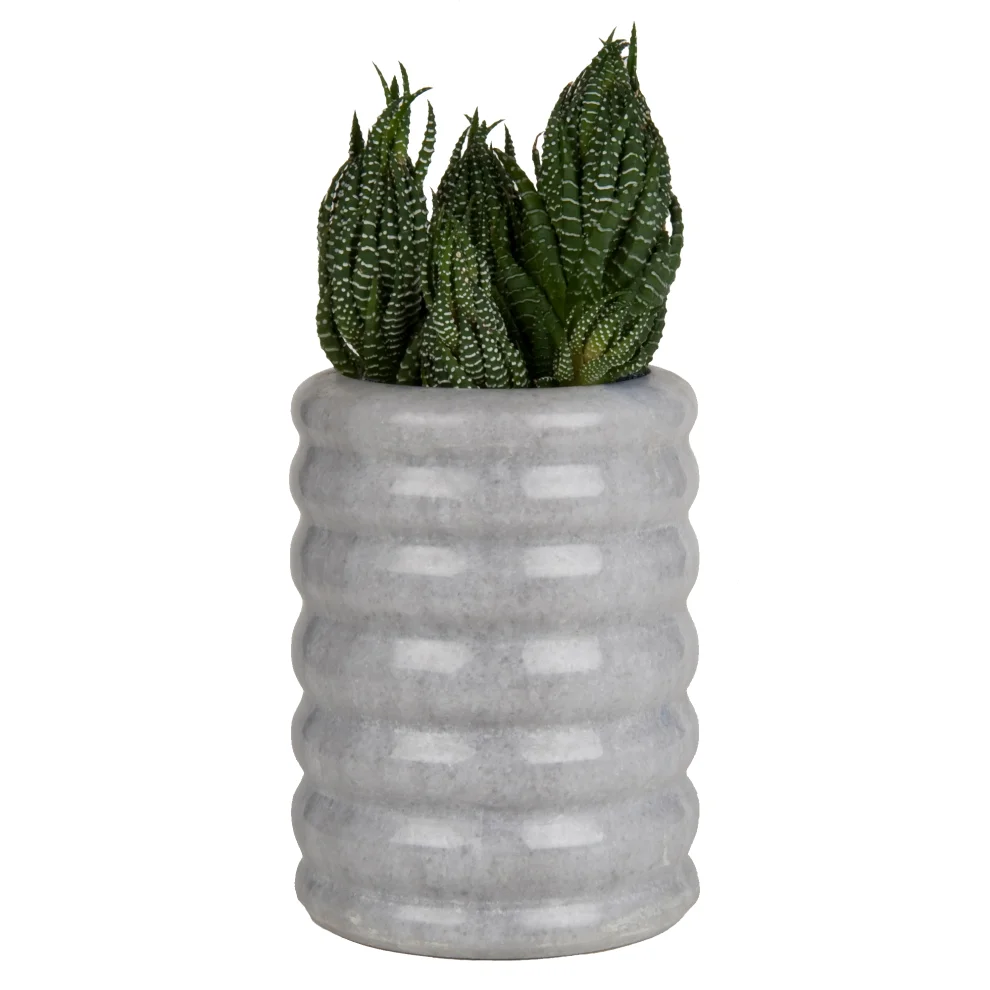 Ritzy Fine Living - Folia Vase