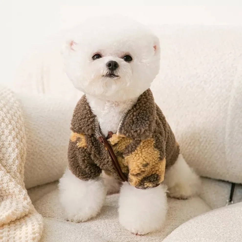 DolcePets - Teddy Jacket