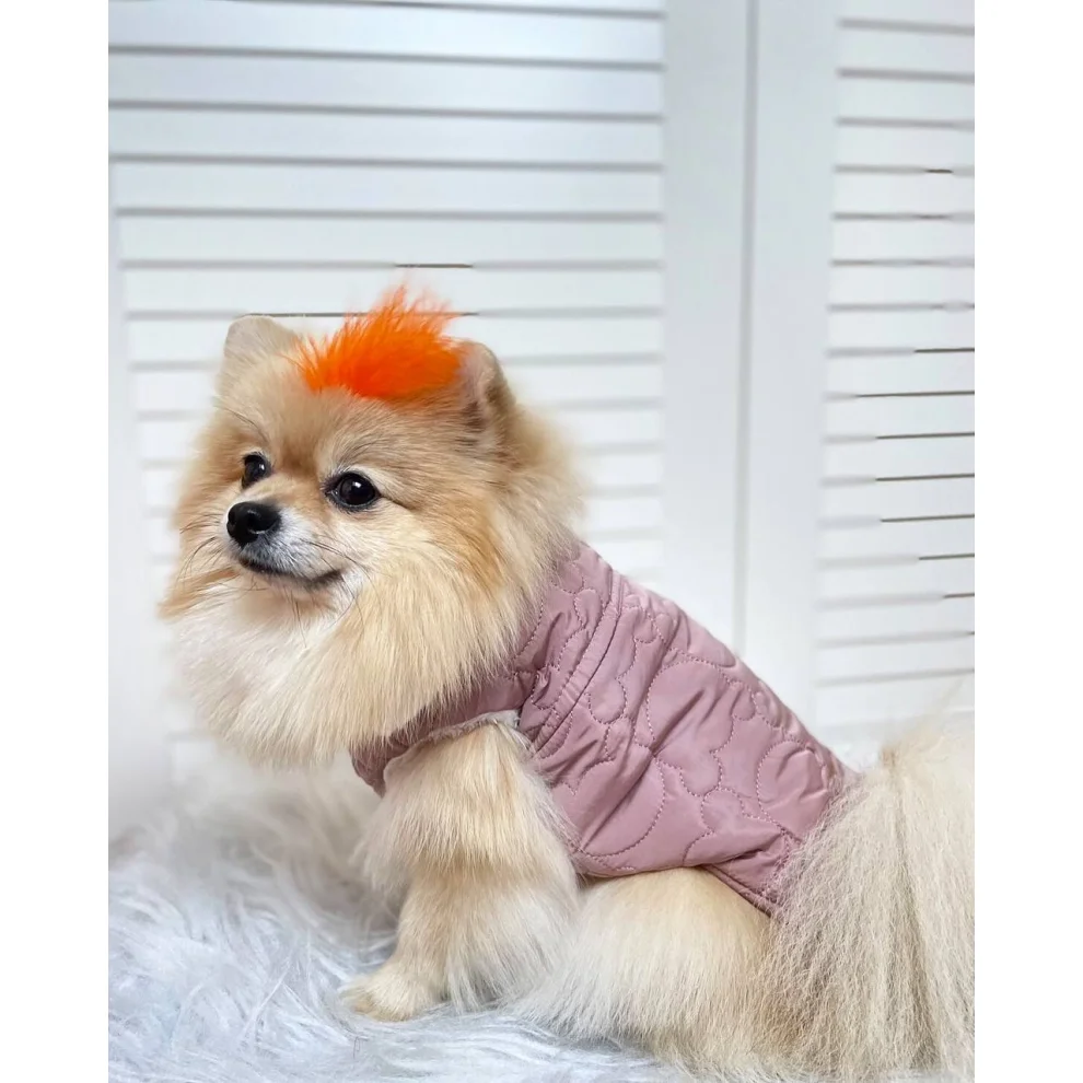 DolcePets - Dog Vest