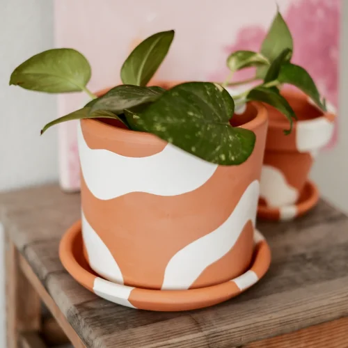fi.dayy - Terracotta Plant Pot - Bohem