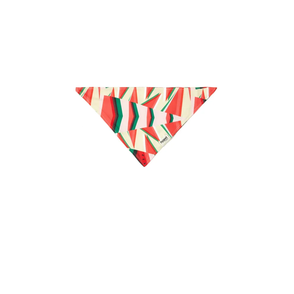 Hypet Fashion - Watermelon Bandana