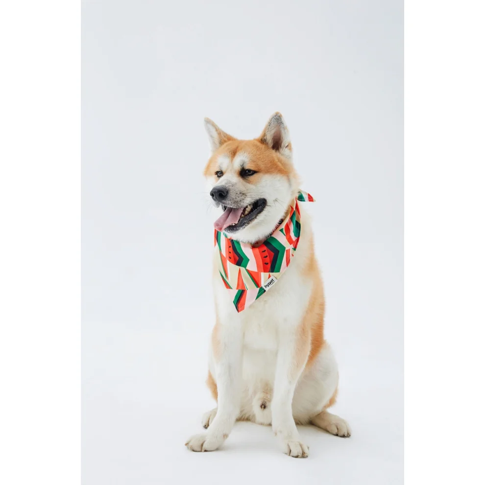 Hypet Fashion - Watermelon Bandana