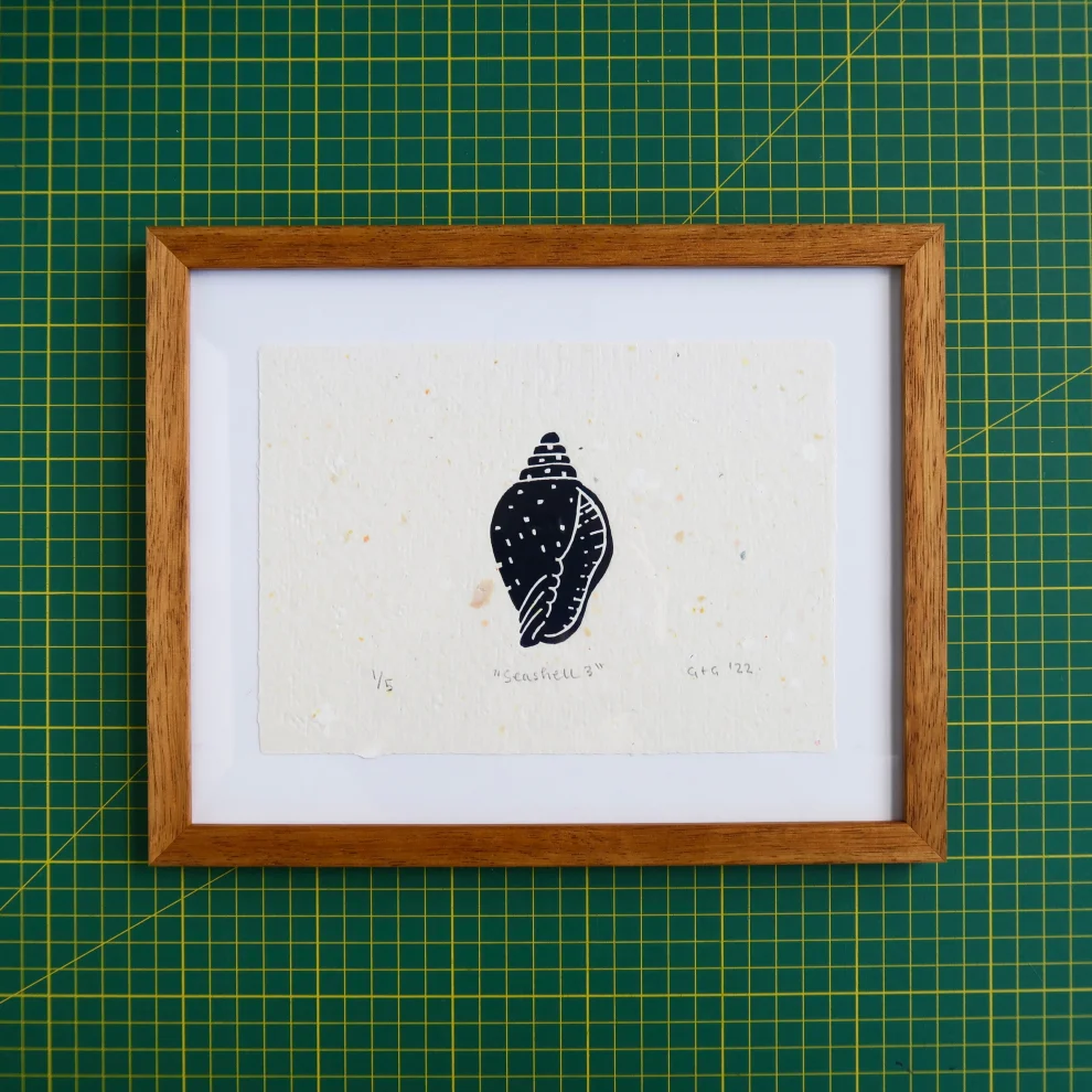 Çaçiçakaduz - Seashell 3 Limba Wood Framed Lino Print