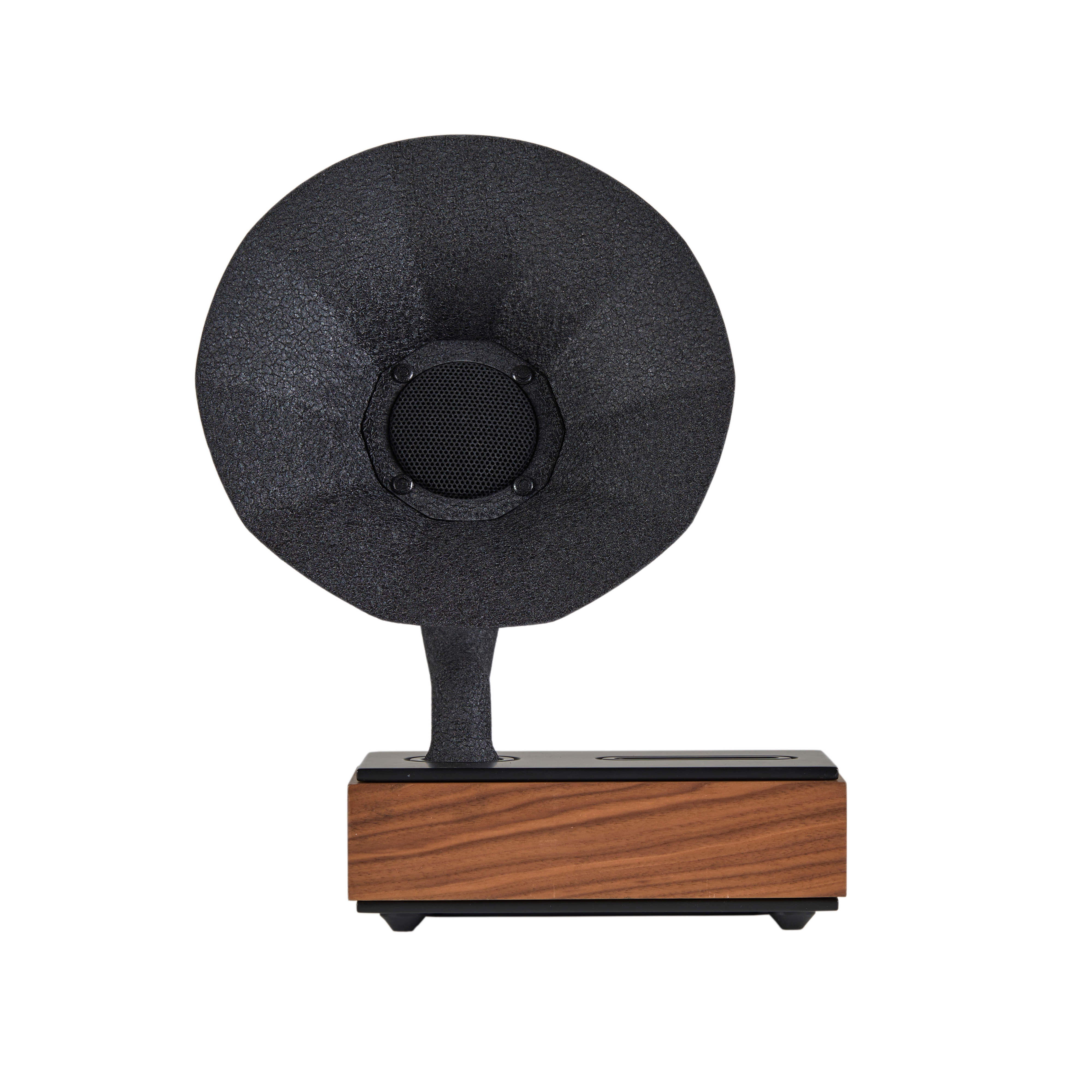 Natural Collection Walnut Speaker