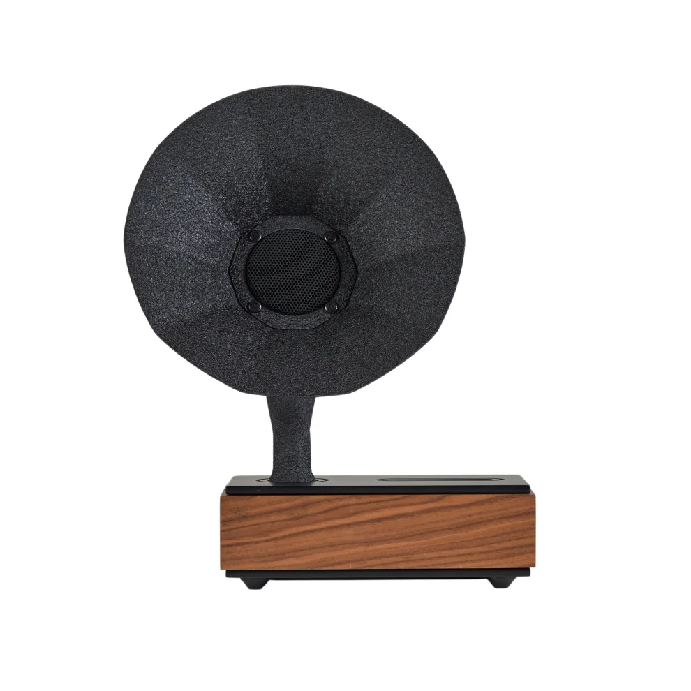 Acoustibox - Natural Collection Walnut Speaker